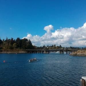 Meet your Posher, Selina